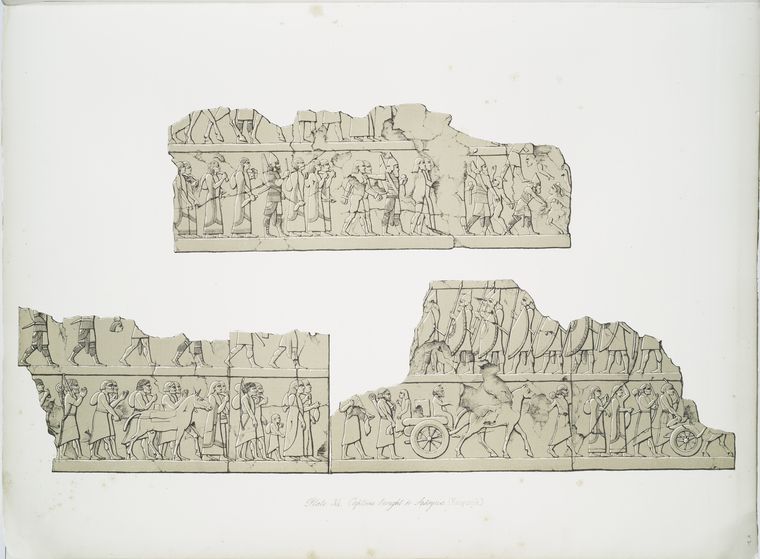 Captives brought to Assyria.  (Kouyunjik.)[Quyunjik].