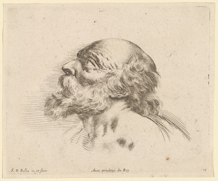 Tête de vieillard à demi chauve, avec grande barbe...