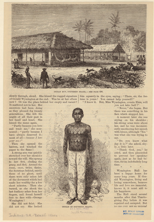 Indian hut, southern Brazil ; Indian of southern Brazil