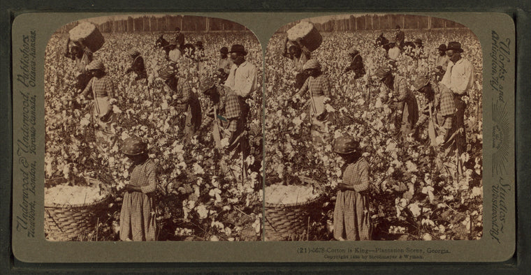 Cotton is king - A plantation scene, Georgia.