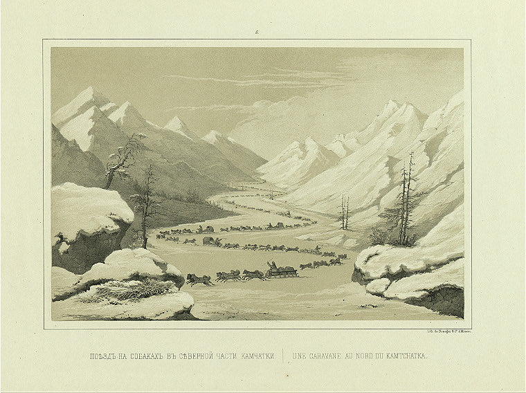 Poezd na sobakakh v severnoi chasti Kamchatki.