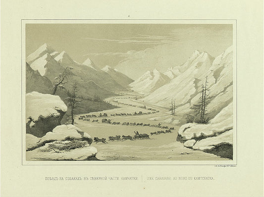 Poezd na sobakakh v severnoi chasti Kamchatki.