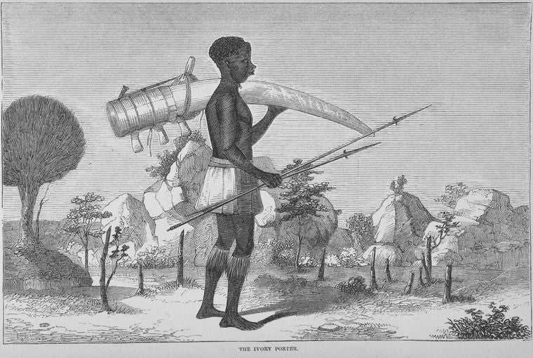 The Ivory Porter