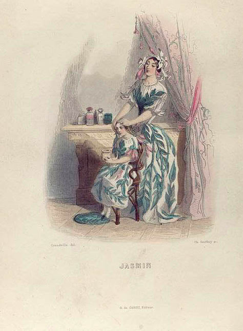 Jasmin. [Jessamine ; Jasmine]