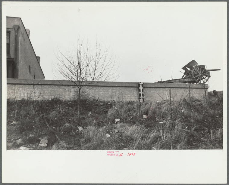 Levee and floodgauge, Shawneetown, Illinois