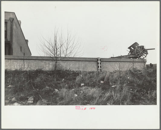 Levee and floodgauge, Shawneetown, Illinois