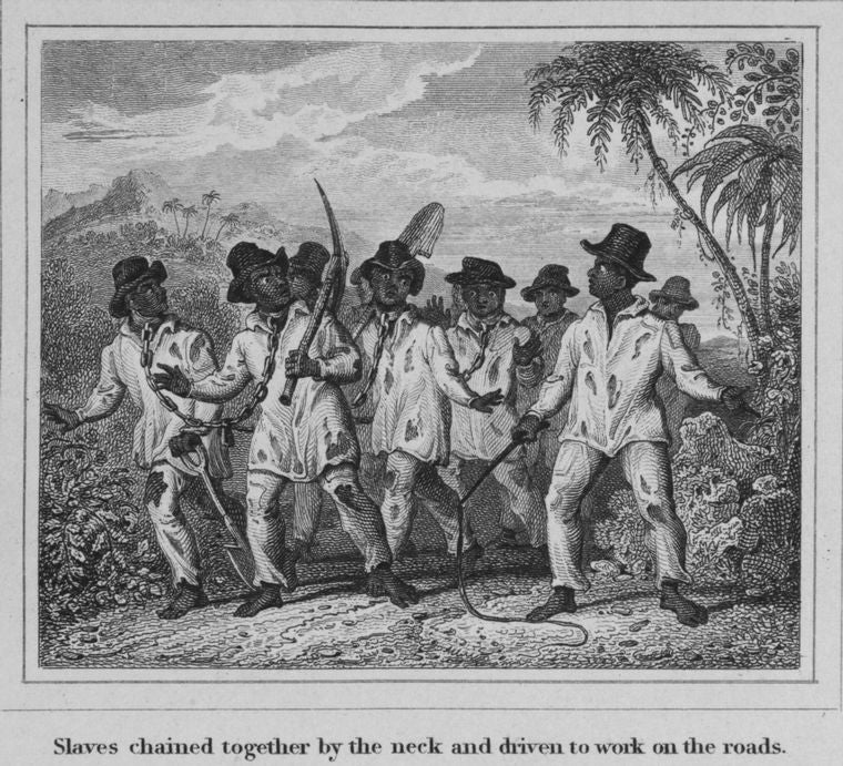 Slaves chained together by the neck and driven to work on the roads