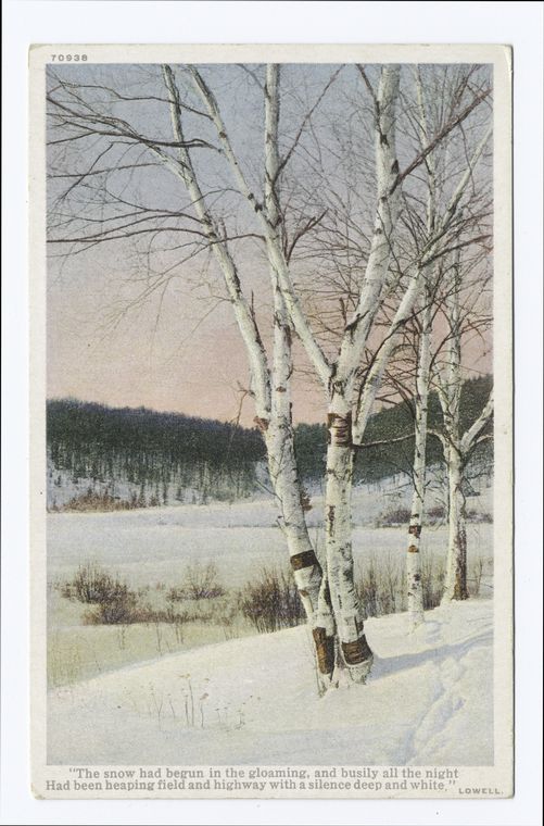 Snow Scene