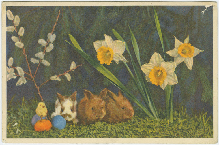 Rabbits, eggs and flowers.
