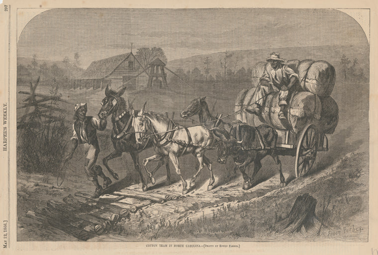 Cotton team in North Carolina