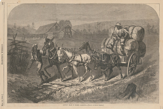 Cotton team in North Carolina