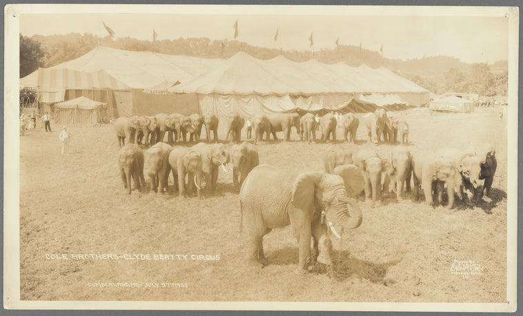 Cole Bros. - Clyde Beatty Circus in Cumberland, Maryland