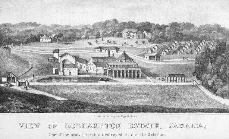 View of Roehampton Estate, Jamaica; One of the many properties destroyed in the late rebellion.