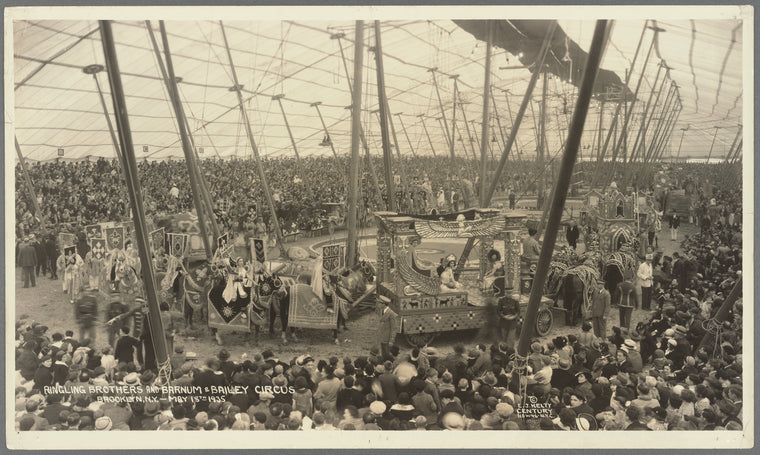 Ringling Bros and Barnum and Bailey Circus in Brooklyn, New York