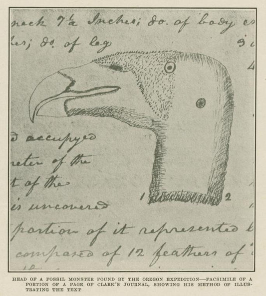 Head of a fossil monster found by the Oregon expedition--facsimile of a portion of a page of Clark's journal, showing his method of illustrating the text