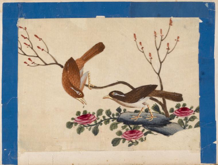 Birds of China. [Brown birds on branch and stone]