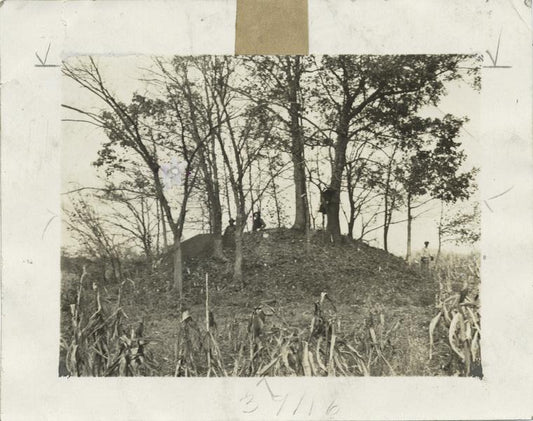 Cherokee Burial Mound in East Tennessee.