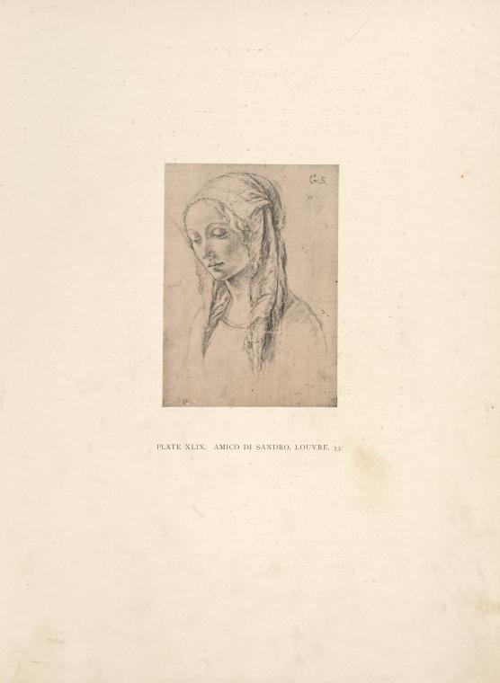 Amico di Sandro, Louvre, 53. [Head of a young woman.]