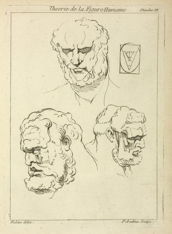 Three studies of a man's head and beard