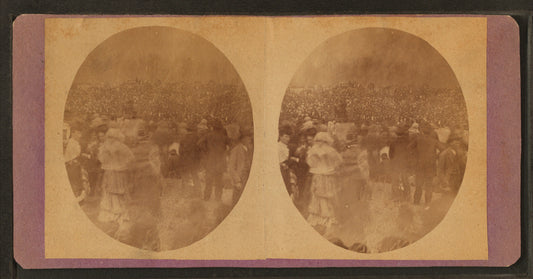 Hanging of Joseph Brassell and George Andrew for murders of Russell and John J. Allison of Putnum County.