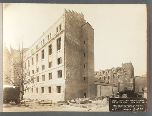 American Museum of Natural History, East Wing construction