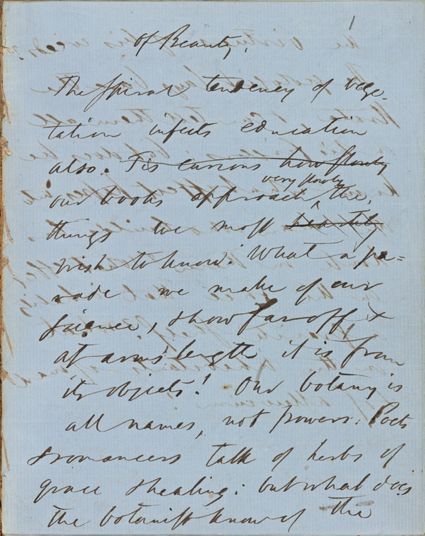 "Of Beauty." Holograph essay, draft, unsigned, undated