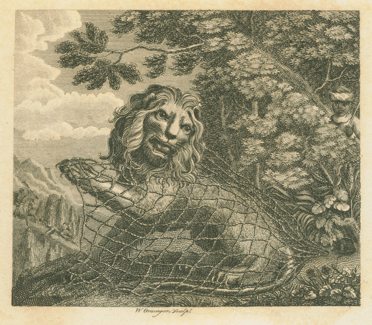 The lion and the mouse