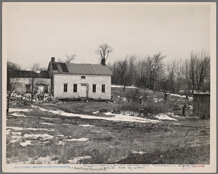 King farm optioned for wild life area, near Rensselaer, New York.