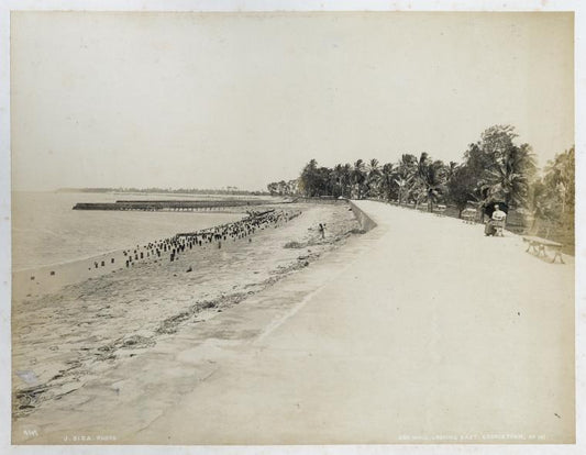 Sea Wall; Looking East, Georgetown, No. 141.