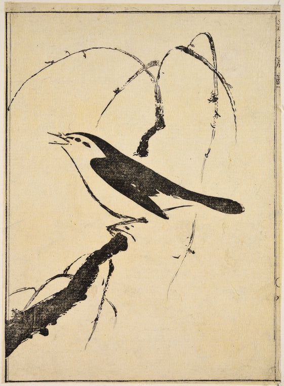 A singing bird