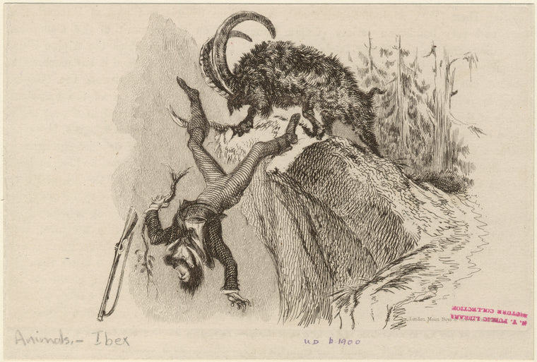 Ibex pushing a hunter off of a cliff