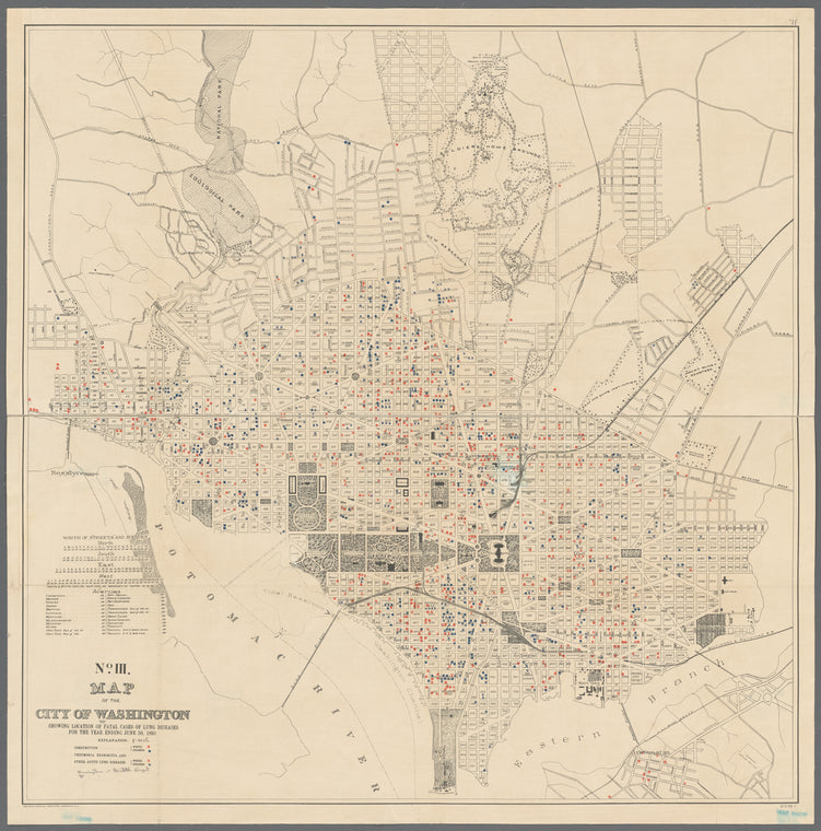 Map of the city of Washington showing location of fatal cases of lung diseases for the year ending June 30, 1891