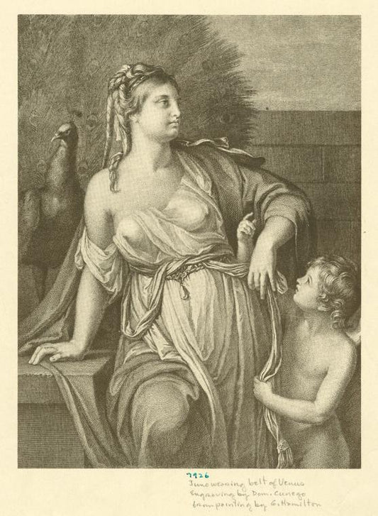 Juno wearing belt (or girdle) of Venus