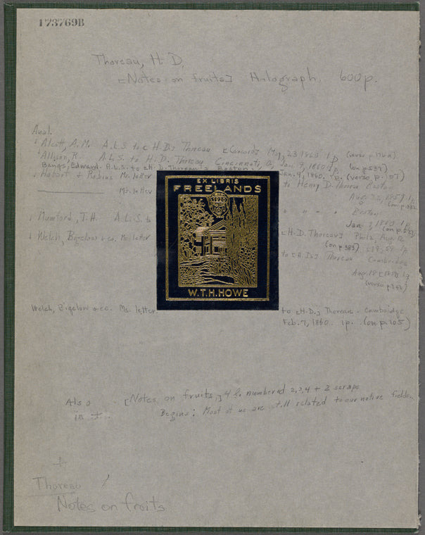 [Notes on fruits]. 306 leaves of holograph draft and notes, unsigned and undated.: (Much now published in Wild Fruits.)