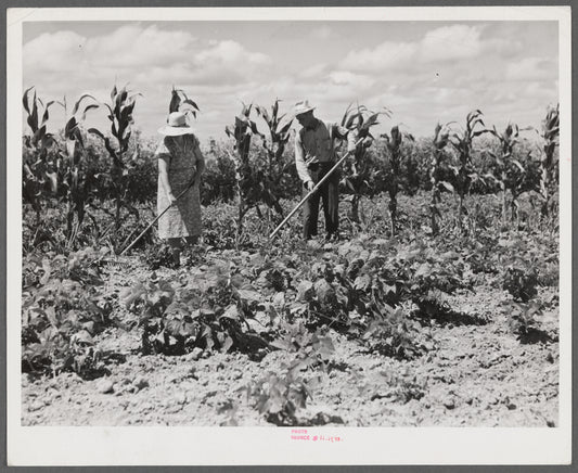 Mr. and Mrs. John M. Washam hoeing in their garden. Transylvania Project, Louisiana