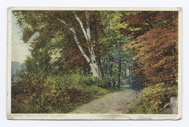 Road through the Forest (Berkshires), Scenic