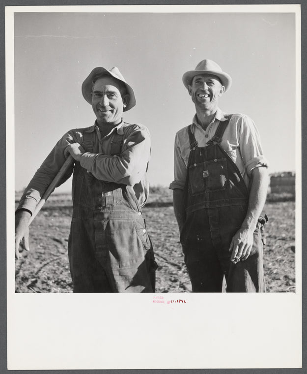 Bean threshers. North Platte River Valley, Nebraska.