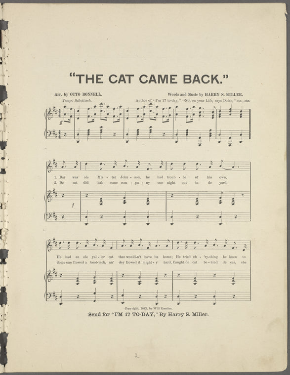 The cat came back