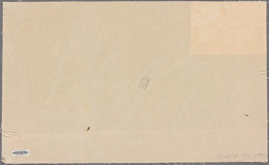 Map of the village of East New York, Kings County and part of the town of Jamaica, Queens County, Long Island