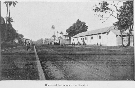 Boulevard du Commerce, à Conakry.