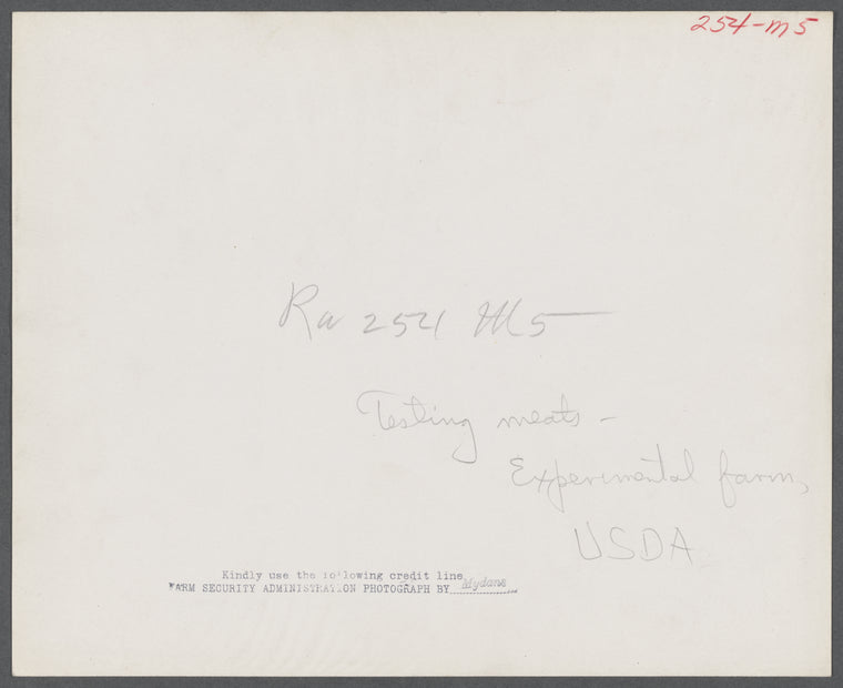 Testing meats at the Department of Agriculture. Beltsville, Maryland.