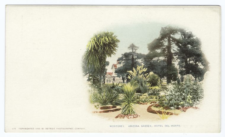 Arizona Gardens, Hotel Del Monte, Monterey, Calif.
