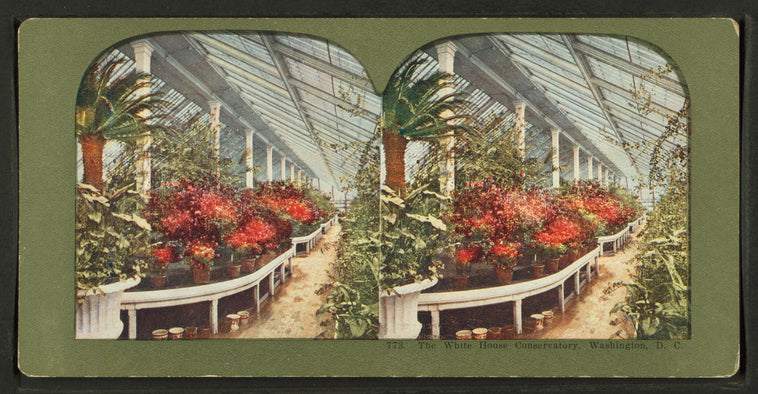 The White House Conservatory, Washington, D.C..