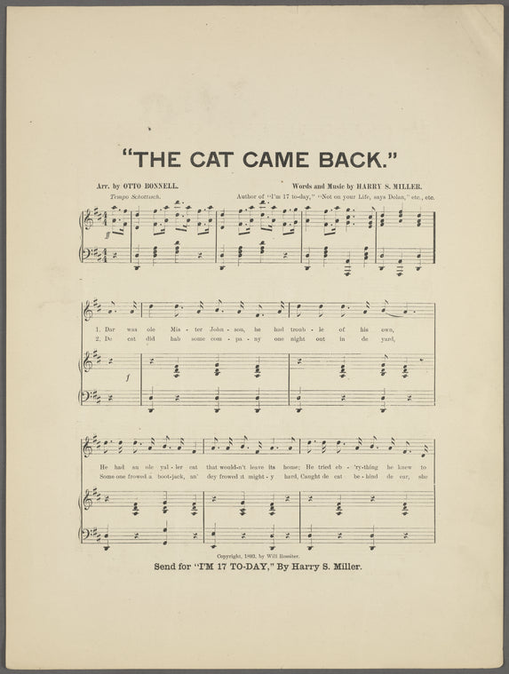 The cat came back