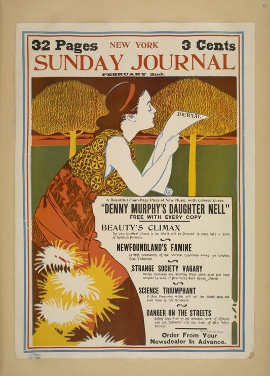 New York Sunday journal. February 2nd. 1896.