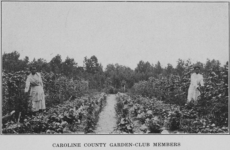Caroline County Garden-Club members.