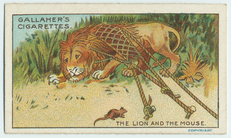 The lion and the mouse.