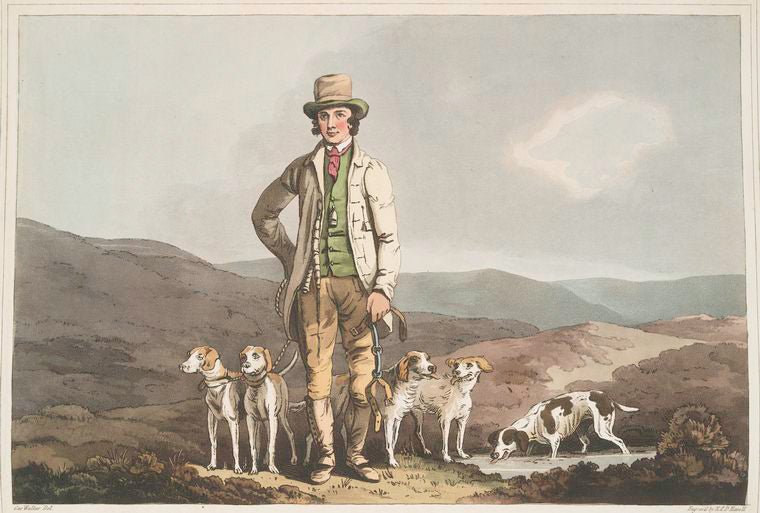 The dog breaker