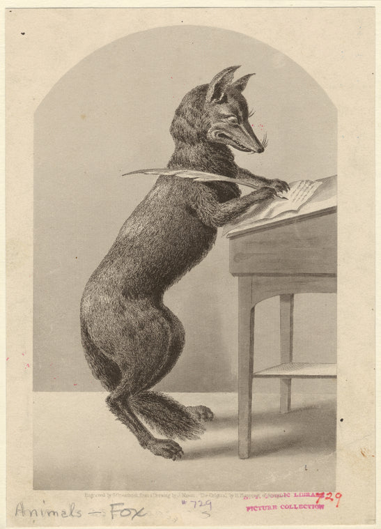 Fox writing with a quill pen