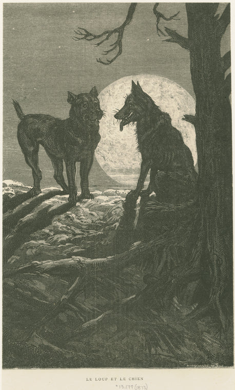Le loup et le chien.